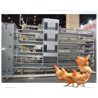 broiler chicken cage for poulayer broiler battery cages